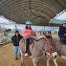 LH행복꿈터 춘천YMCA만천지역아동센터 이미지