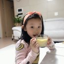 지웰MTA태권도 이미지