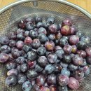 농업회사법인 (주)우리들 이미지