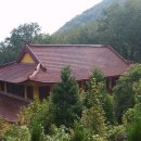 독산천 이미지