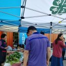 함박꽃웃음 붓꽃마을 이미지