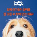 잉글리쉬베리영어교습소