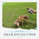 데일리멍 | 강아지진드기스프레이 라운드멍 강아지 진드기 퇴치제 후기
