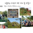 130305(화) 노을공원 사면 100개의 숲 만들기(2012년 사례) 이미지