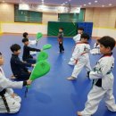 한우리태권도 이미지