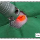 미드미동물의료센터 이미지