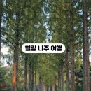 전남산림문화연구소 이미지