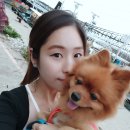정애분식 - 양주시 | 정애분식