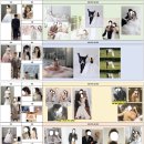 민정토탈 | [구호 스튜디오 웨딩 촬영 후기] 토탈 x/촬영 직전 완벽 정리/스드메 추천/촬영 시안/헤어 변형 시안...