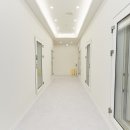 브로콜리스튜디오 이미지