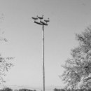 진또배기 이미지