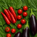 토마토한식 이미지