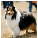 아이즈 오브 엔젤 이미지