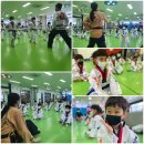 경희대태권쏭 태권도장 이미지