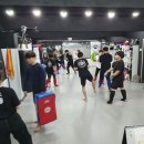 주짓수&킥복싱 쌍문탑짐 이미지