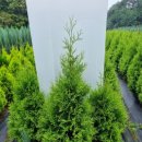 태림농장 이미지