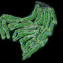 라운딩 스크린 골프 이미지