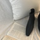 하이 블랭크