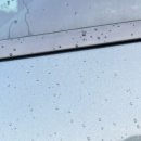 세차의 고수(홍성점) 이미지