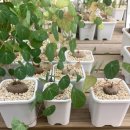 금월농장 | 그린대로 <농업일자리 체험교육> 후기!