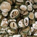 최용순농장 이미지