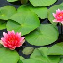 의왕초등학교 이미지