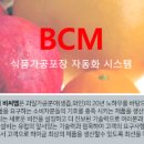 (주)비씨엠 이미지