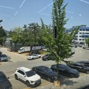 성포예술광장 주차장 이미지