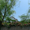 청운유치원 이미지