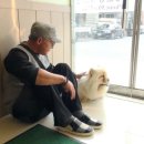 피움동물병원 스포츠경향