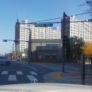 현대2차 203동 앞 이미지