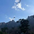 (주)델피아이 이미지