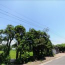 태흥1리 마을회관 이미지