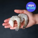 비비수산 새우 개 싸요 잡솨봐 11,780원 이미지