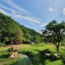 숲속캠핑장 이미지