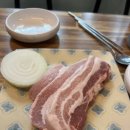 퐁이네 애견 | 남양주 애견놀이터 개떼놀이터 수영장까지 놀고온 후기