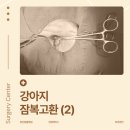 홍제동물병원 이미지