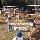 대한목장 | 제주 아기랑 가볼만한 카페 대한목장 솔직 후기