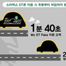 디티코리아 이미지