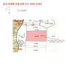 신선동-4 이미지