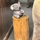 홈플러스 북수원점 아가방갤러리 | 남편생일맞이 가족모임 아웃백스테이크하우스 주말서비스는 아쉬워요 | 영통베이비하우스 구경