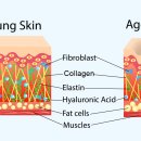 서울피부과의원 이미지