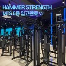 업타운휘트니스돌곶이점 | 해머스트렝스 MTS 6종 입고 완료 ! / 돌곶이헬스장 업타운휘트니스