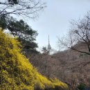 강남박내과의원