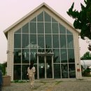 만개커피 | [부천 카페] 실시간 노란 금계국 만개한 폐철길 옆 부천 옥길동 코홀트 커피 방문 후기