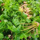 부운농장 이미지