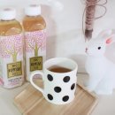 엔케이(NK)팜 | 타히보 음료 : 건강위해 매일 NK타히보 미인