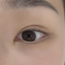 나무아이래쉬 | 화정속눈썹 나무아이래쉬 속눈썹펌 솔직 후기 (자연스럽고 또렷한 눈매 완성✨)