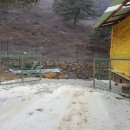 사방염소농장 이미지