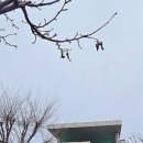남성대어린이집